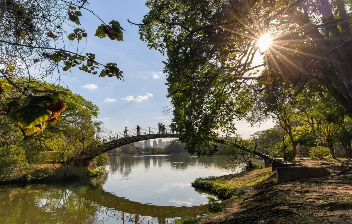 Imagem da galeria de São Paulo